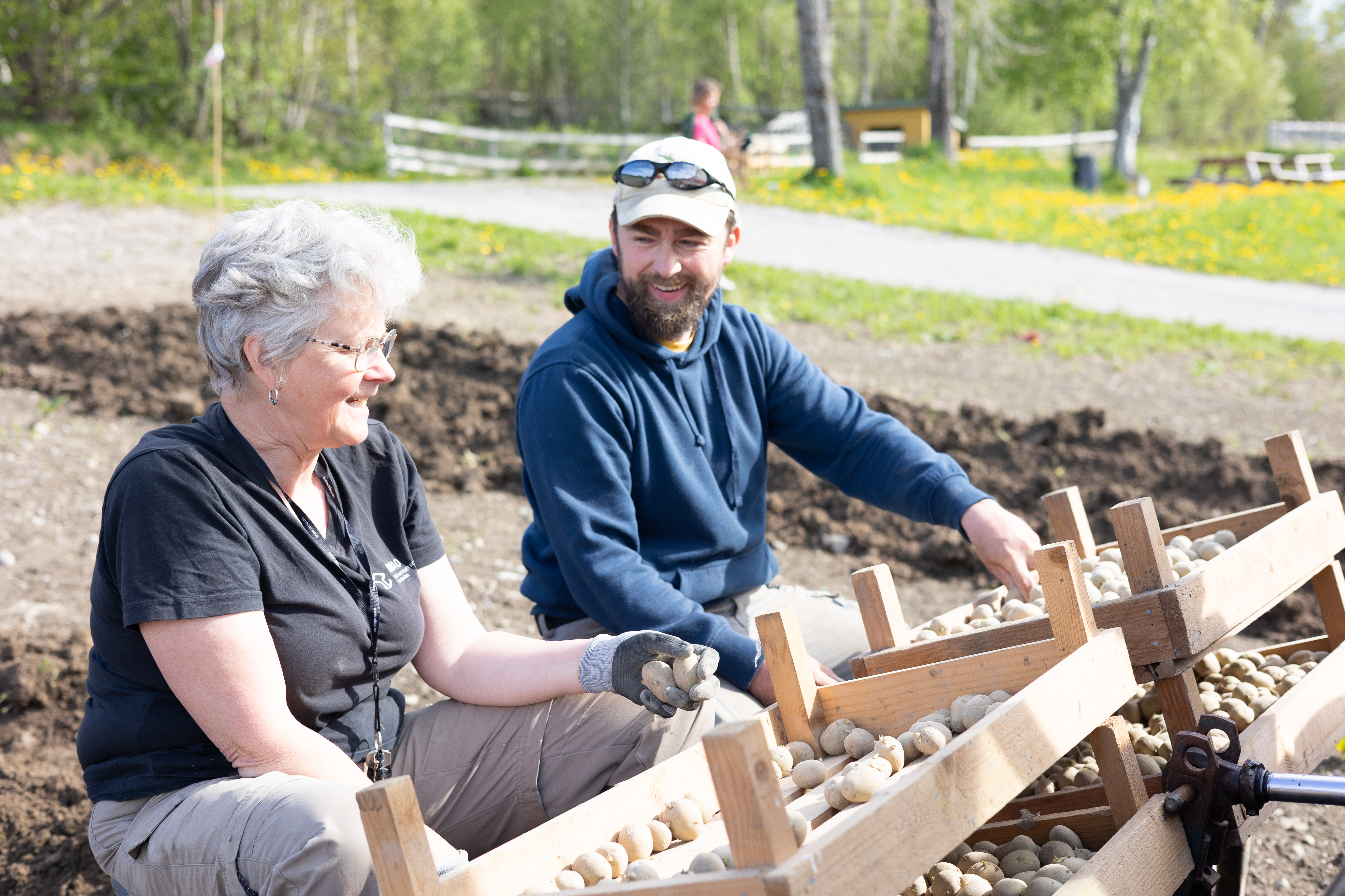 : Farms with grasslands and access to animal manure are an unutilized resource for increased organic production of food crops. (Photo: Vegard Botterli)