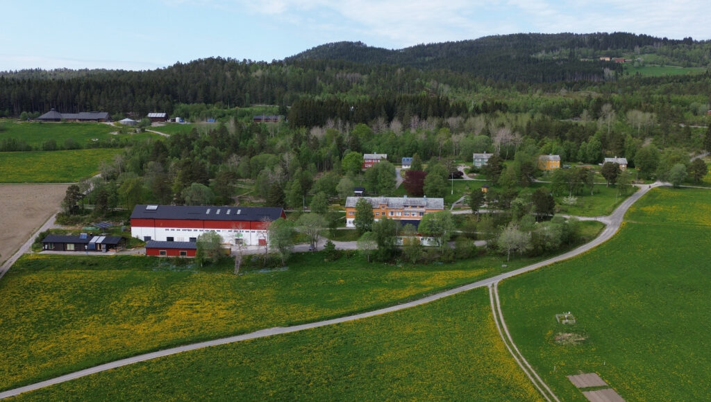 Forskerne har Tingvoll Gard i Møre og Romsdal som base. I tillegg til å være et forskningsinstitutt er det også et aktivt gårdsbruk. (Foto: Vegard Botterli)