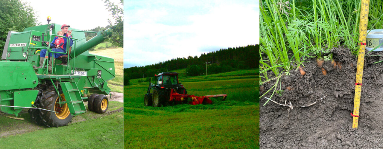 Improving soil health in different productions must be adapted to Norwegian conditions and done together with the farmers. (Photo: Reidun Pommeresche)