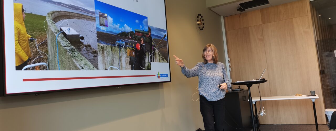 Seniorforsker Sissel Hansen (NORSØK) innledet om metangassmålinger i det norske landbruket og potensielle tiltak som kan begrense de. (Foto: Synnøve Rivedal)